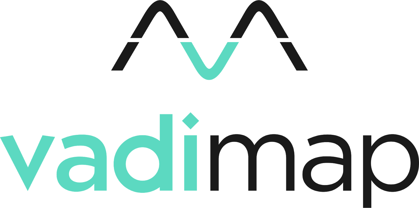 vadiMAP logo