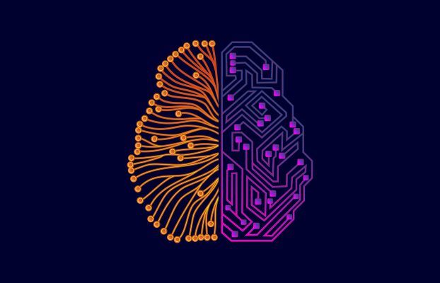 What Are The Basics of Data Science?